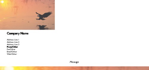 Fishing Eagle Full Colour Compliment Slips