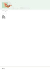 Winged Beauty A4 Recycled Letterhead