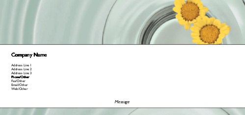 Shimmering Daisies Full Colour Compliment Slips