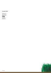 Wheat Grass A4 Recycled Letterhead