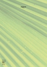 Dewy Leaves A4 Recycled Letterhead