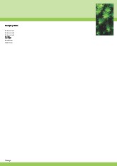 Green Star Plant A4 Letterhead