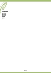 Palm Leaf A4 Letterhead