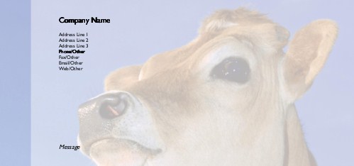 Brown Cow Full Colour Compliment Slips