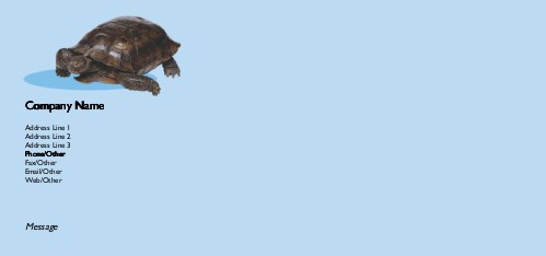 Tortoise Time Full Colour Compliment Slips