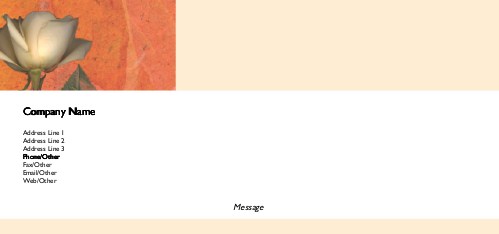 Elegant White Rose Full Colour Compliment Slips
