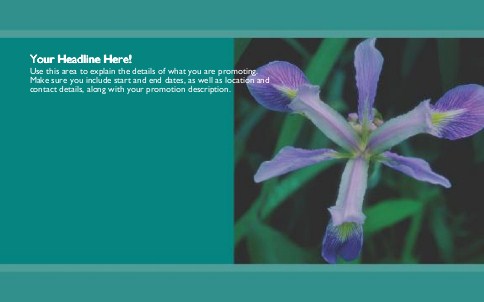Purple Iris Full Colour Oversized Postcards