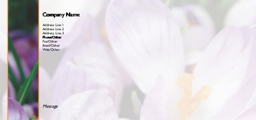 Spring Crocuses Full Colour Compliment Slips