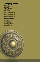 Antique Warrior Shield