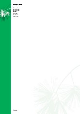 Pine Tree Branches A4 Letterhead