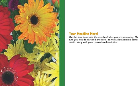 Vibrant Flowers Full Colour Oversized Postcards