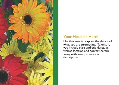 Vibrant Flowers Full Colour Standard Sized Postcards