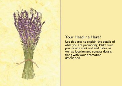 Lavender Flowers Full Colour Standard Sized Postcards