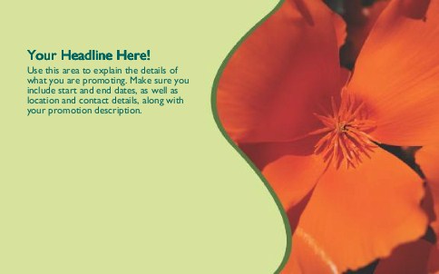Refined Petals Full Colour Oversized Postcards