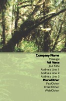 Woodland Stream