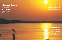 Heron At Sunset Full Colour Magnetic Business Cards
