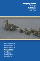 Mallard Family
