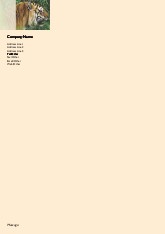Tiger Close-up A4 Letterhead