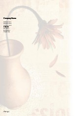 Timid Petals A4 Recycled Letterhead