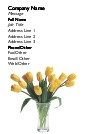 Vase of Tulips Full Colour Magnetic Business Cards