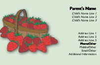 Berry Basket Full Colour Mummy Contact Cards