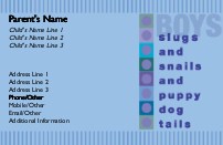 Boys will be Boys Full Colour Mummy Contact Cards