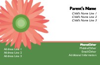 Delightful Daisy Full Colour Mummy Contact Cards