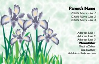 Spring Beauties Full Colour Mummy Contact Cards