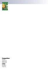 Flower Basket A4 Letterhead