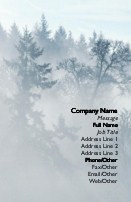 Foggy Forest