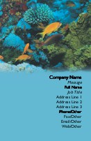 Underwater View Full Colour Business Cards