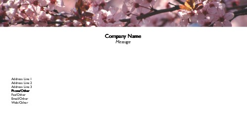 Cherry Blossom Tree Full Colour Compliment Slips