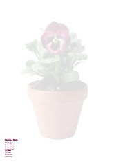 Windowsill Wonder A4 Letterhead
