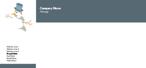 Frosty Friend Full Colour Compliment Slips
