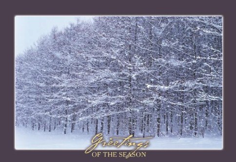 Laden with Snow