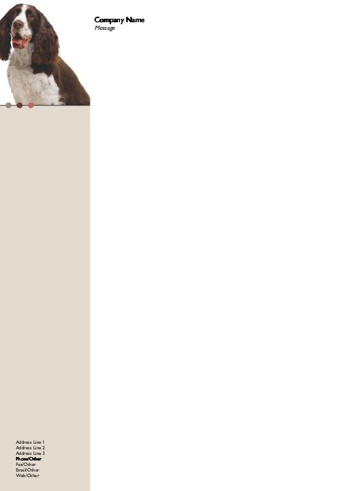 Springer Spaniel A4 Letterhead