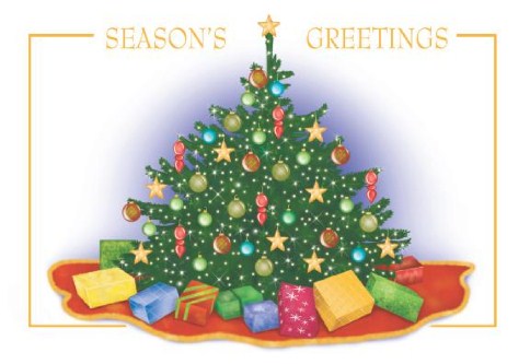 Under the Tree Personalised Christmas Cards