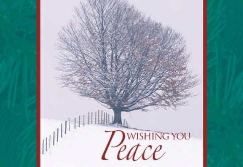 Winter Peace Personalised Christmas Cards