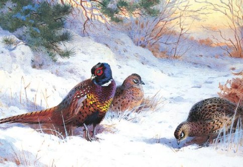 Winter Pheasants Personalised Christmas Cards