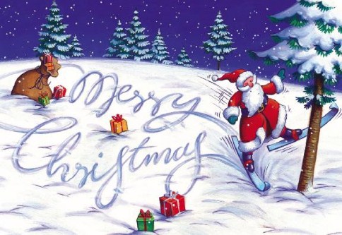 Skiing Santa Personalised Christmas Cards