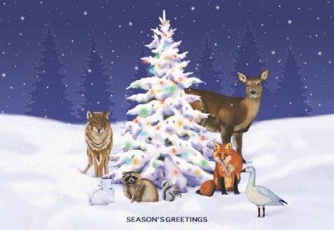 Merry Menagerie Personalised Christmas Cards