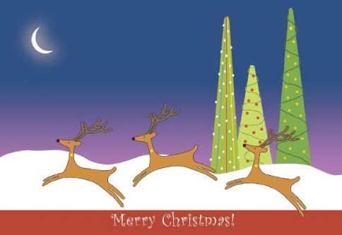 Reindeer on the Run Personalised Christmas Cards