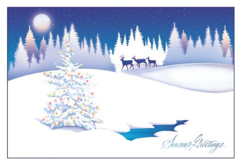 Wonderland in White Personalised Christmas Cards
