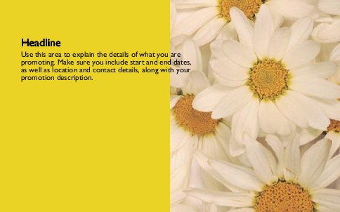 Maizey Daisies Full Colour Oversized Postcards