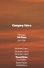 Sailor's Delight Full Colour Business Cards
