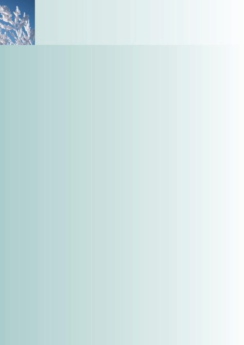 Snow on Branches Christmas Letterhead - Blank