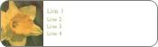 Yellow Daffodil Return Address Labels
