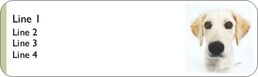 Yellow Lab Return Address Labels