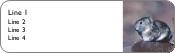 Keeping Watch Return Address Labels