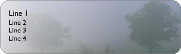 Trees In The Mist Return Address Labels